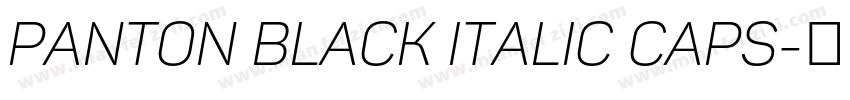Panton Black italic Caps字体转换
